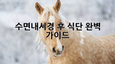 수면내시경 후 식단, 완벽 가이드!