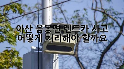 아산 음봉면 렌트카 사고, 어떻게 처리해야 할까요?