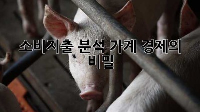 소비지출 분석: 가계 경제의 비밀
