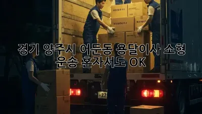 경기 양주시 어둔동 용달이사 소형 운송, 혼자서도 OK!